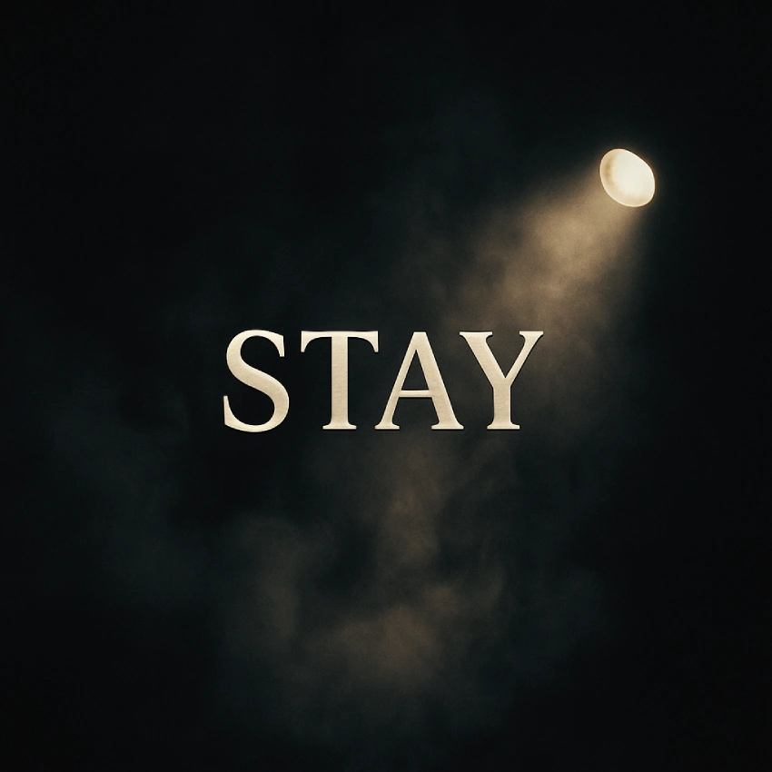 STAY cover